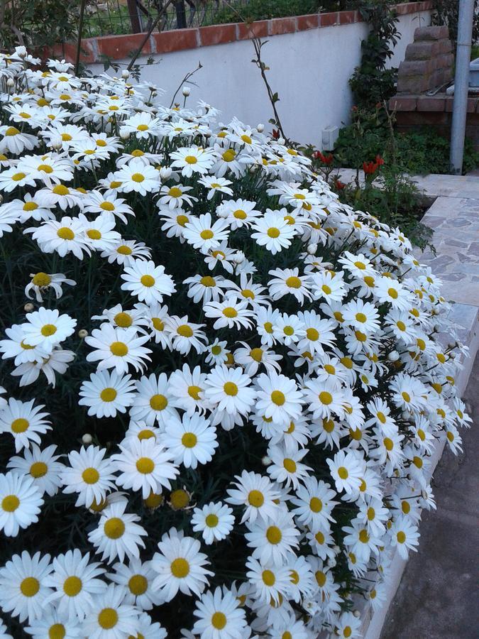 Borgo Manfria Hotel Gela Kültér fotó